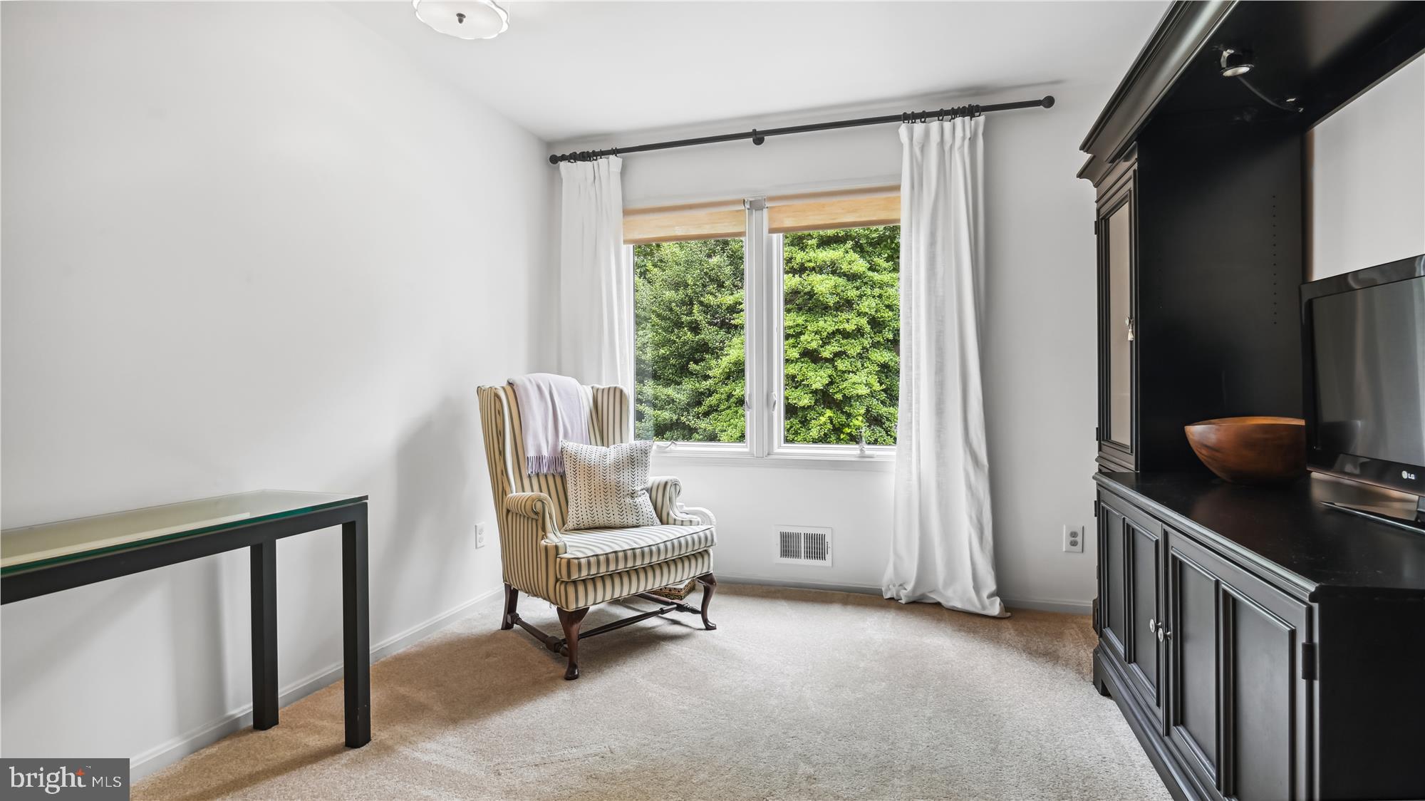 11803 GREY BIRCH PLACE