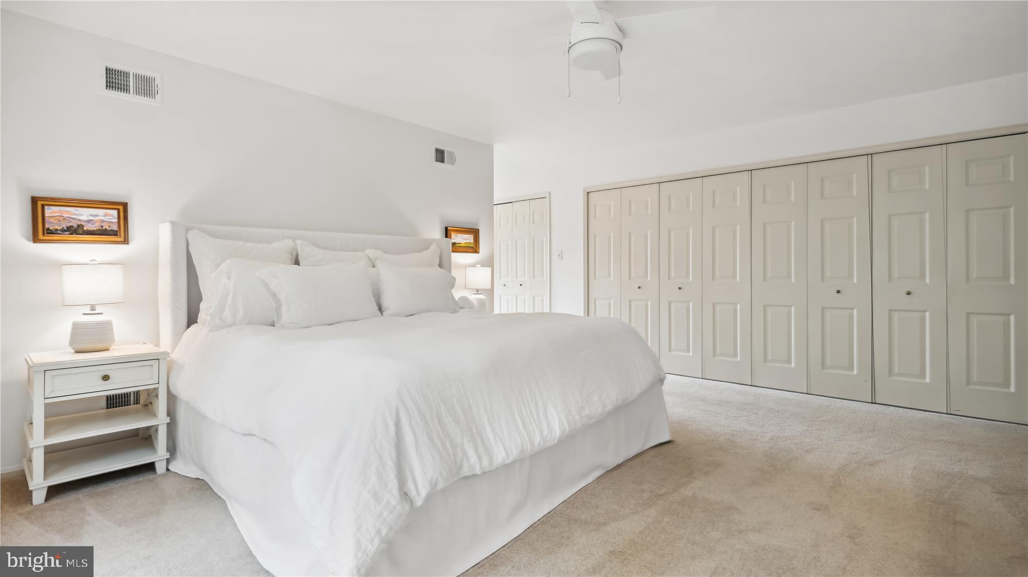 11803 GREY BIRCH PLACE