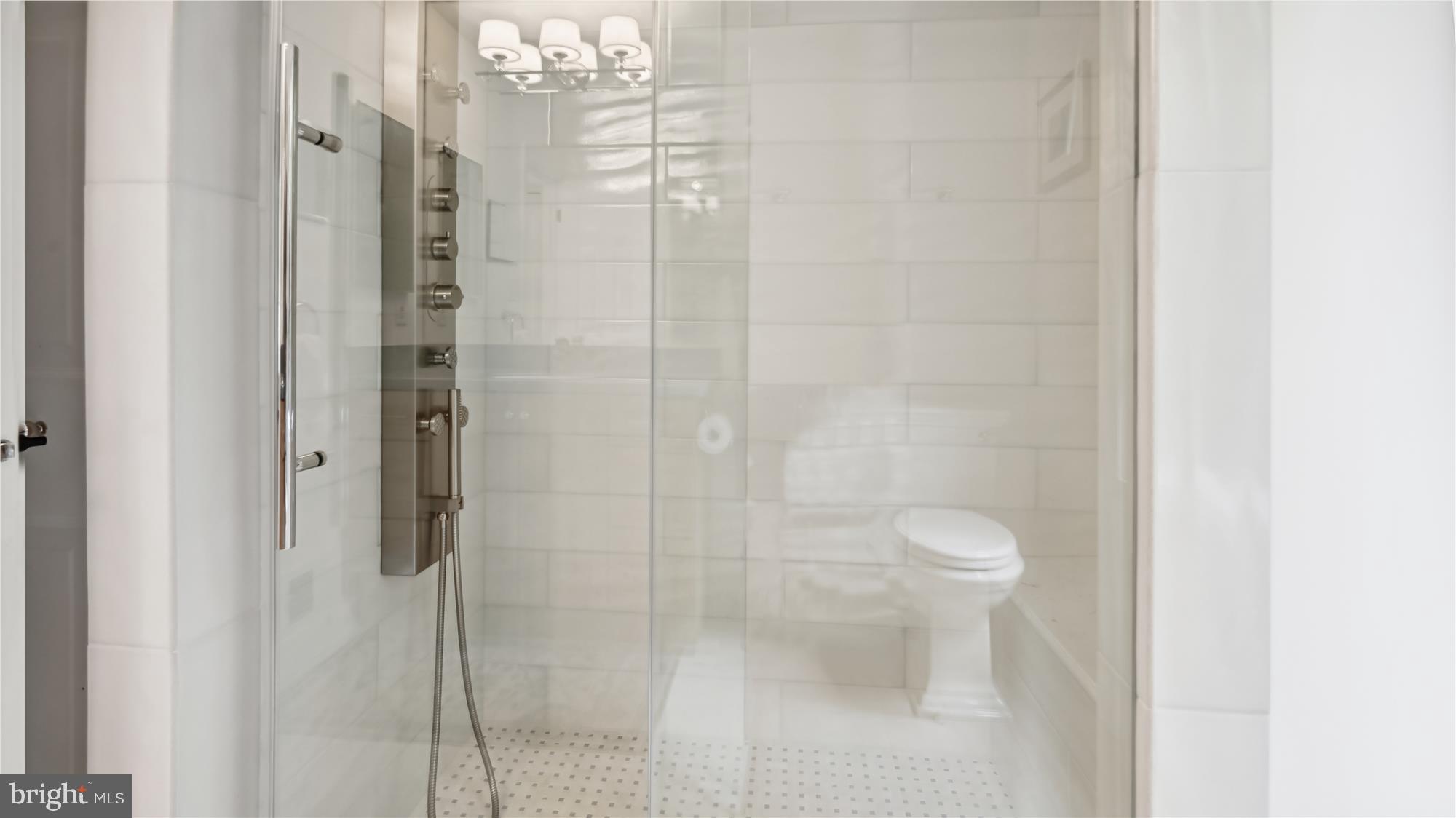 11803 GREY BIRCH PLACE