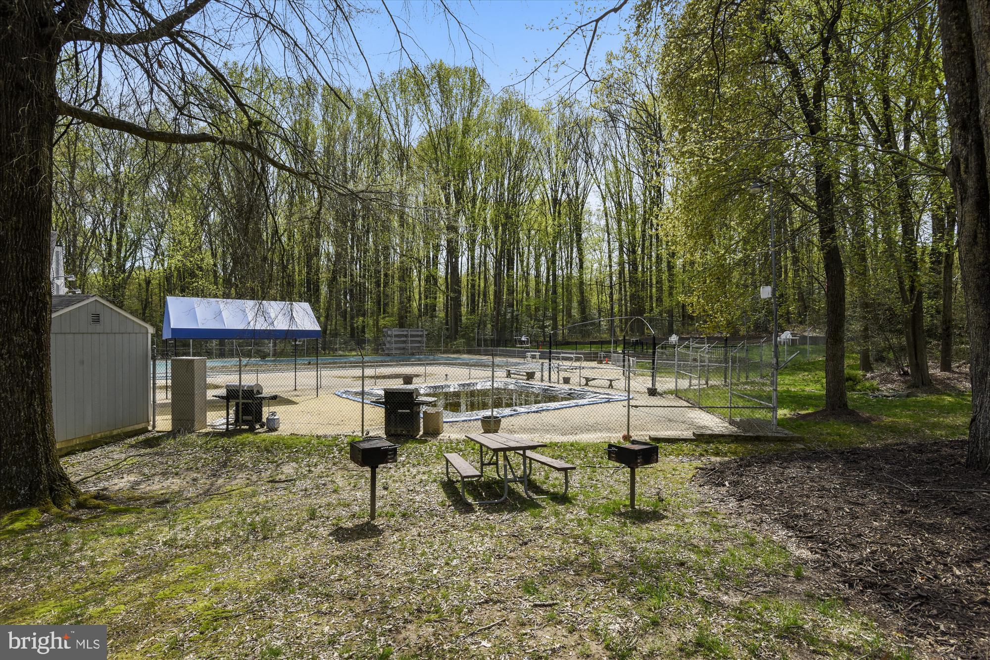 11803 GREY BIRCH PLACE