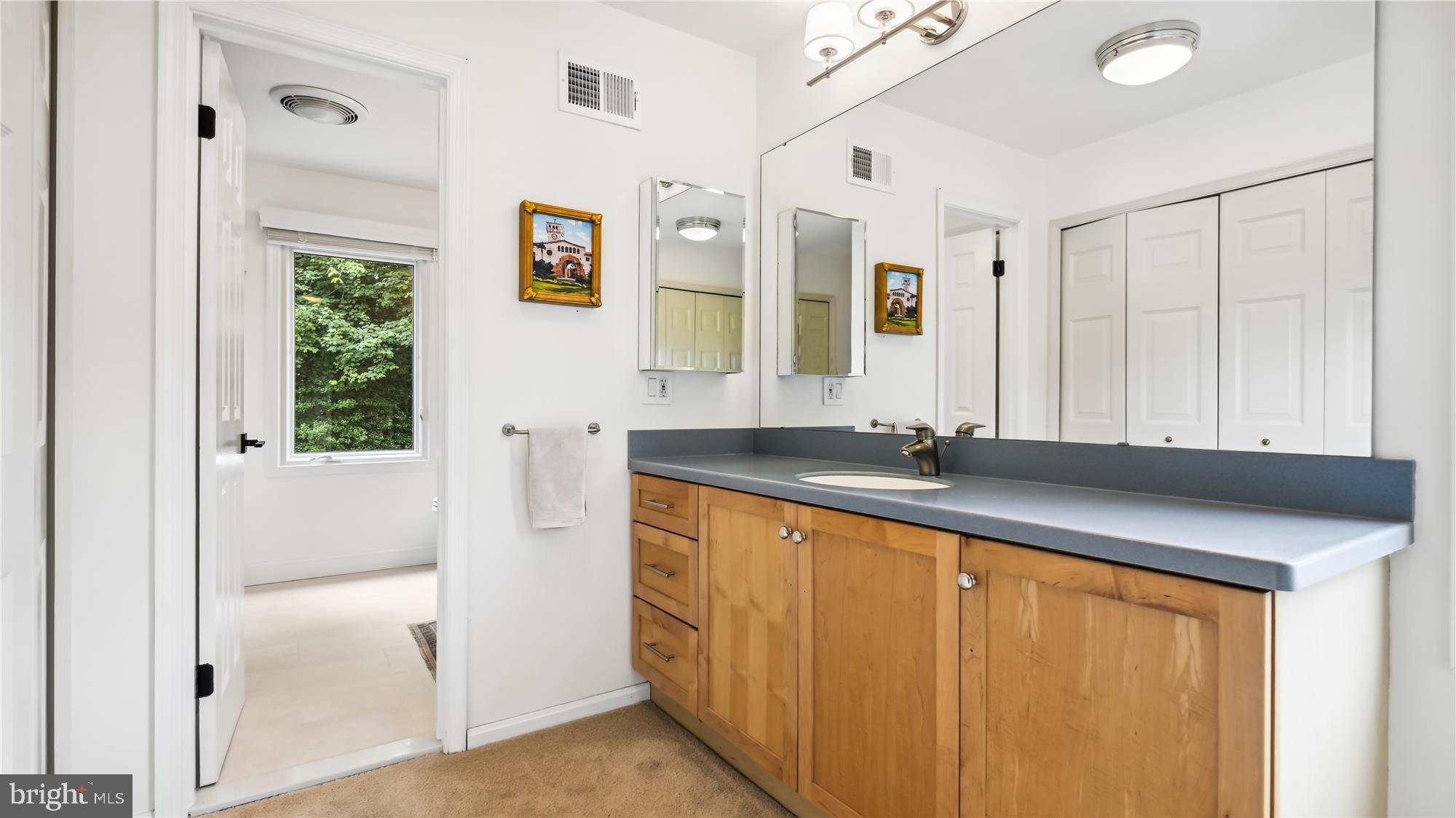 11803 GREY BIRCH PLACE