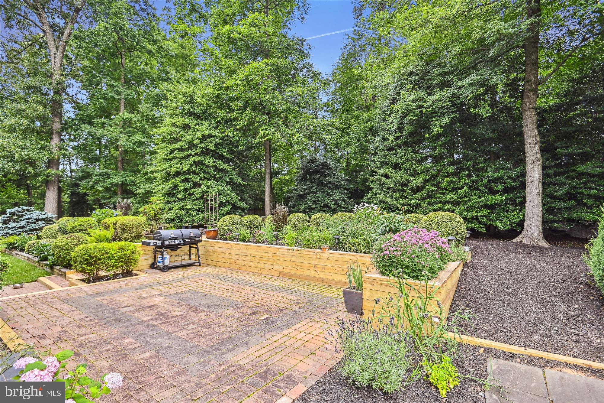 11803 GREY BIRCH PLACE