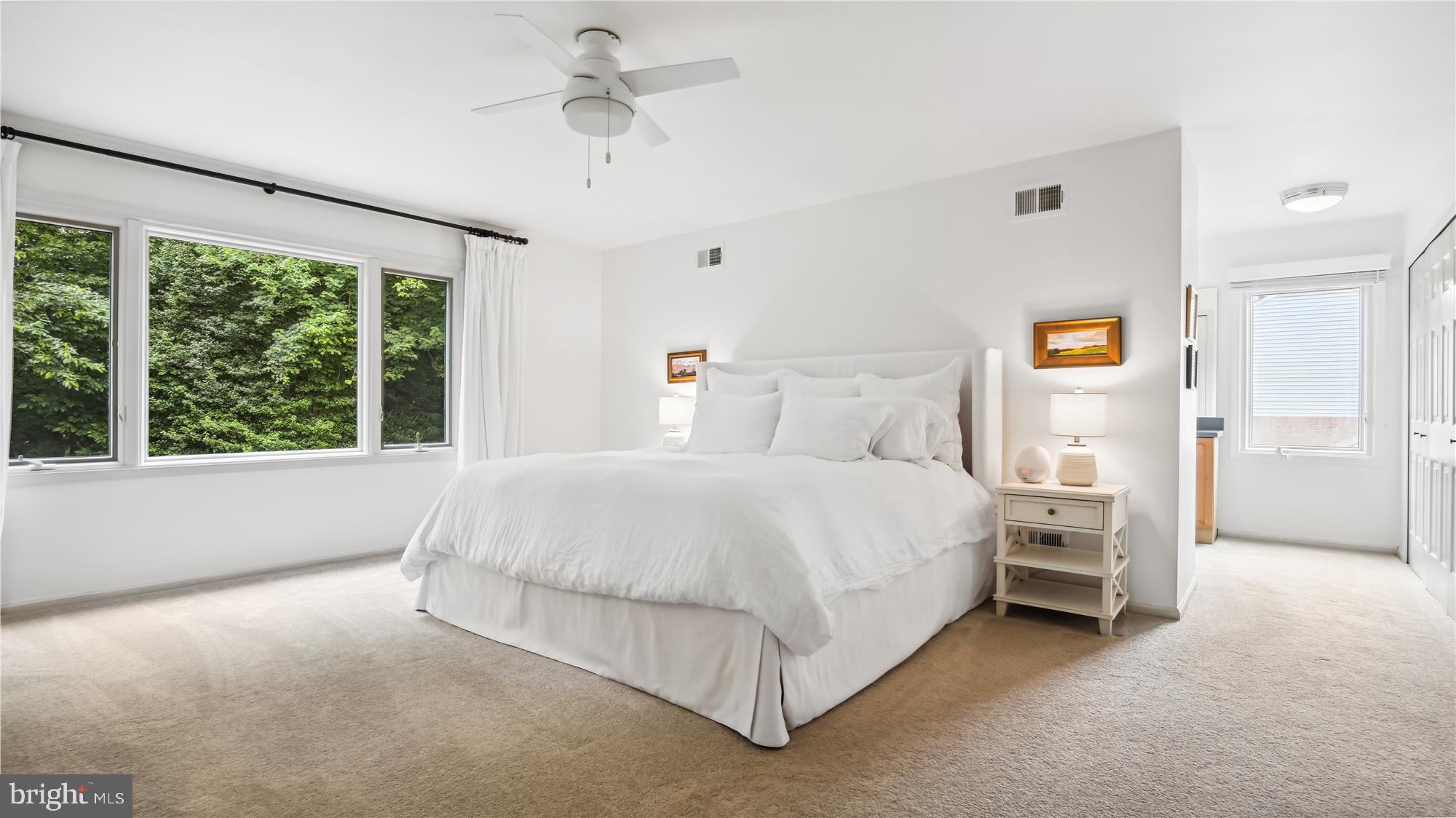 11803 GREY BIRCH PLACE