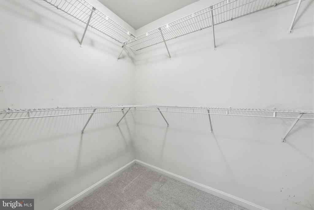 12402 BROWN FOX WAY