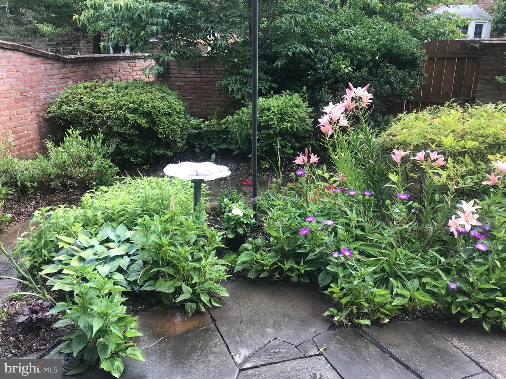9311 CLANBROOK COURT