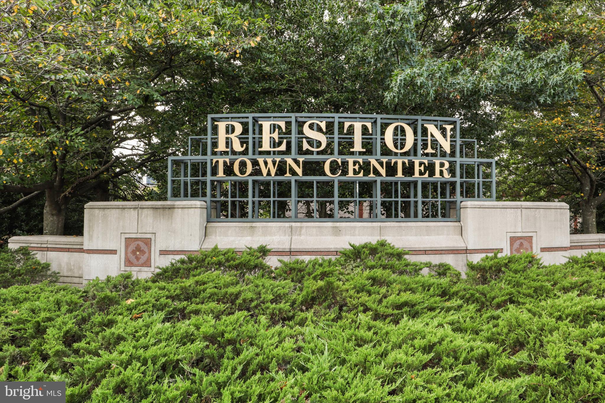 11725 ARBOR GLEN WAY