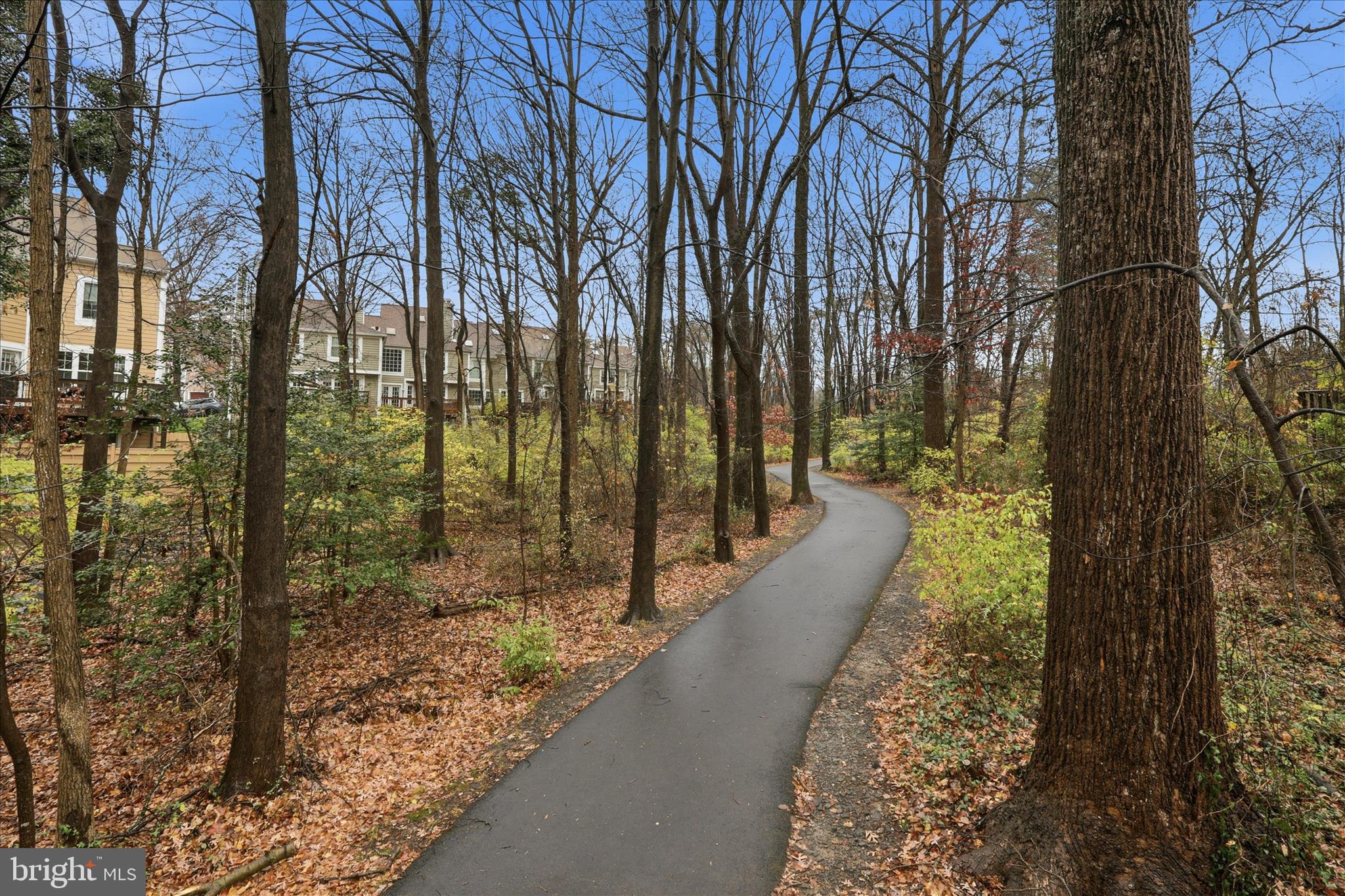 11725 ARBOR GLEN WAY