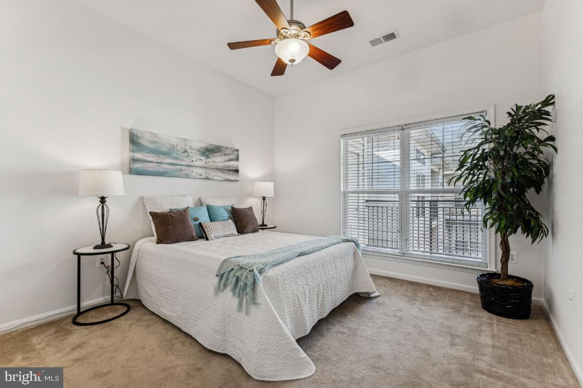 3810 LIGHTFOOT STREET 404