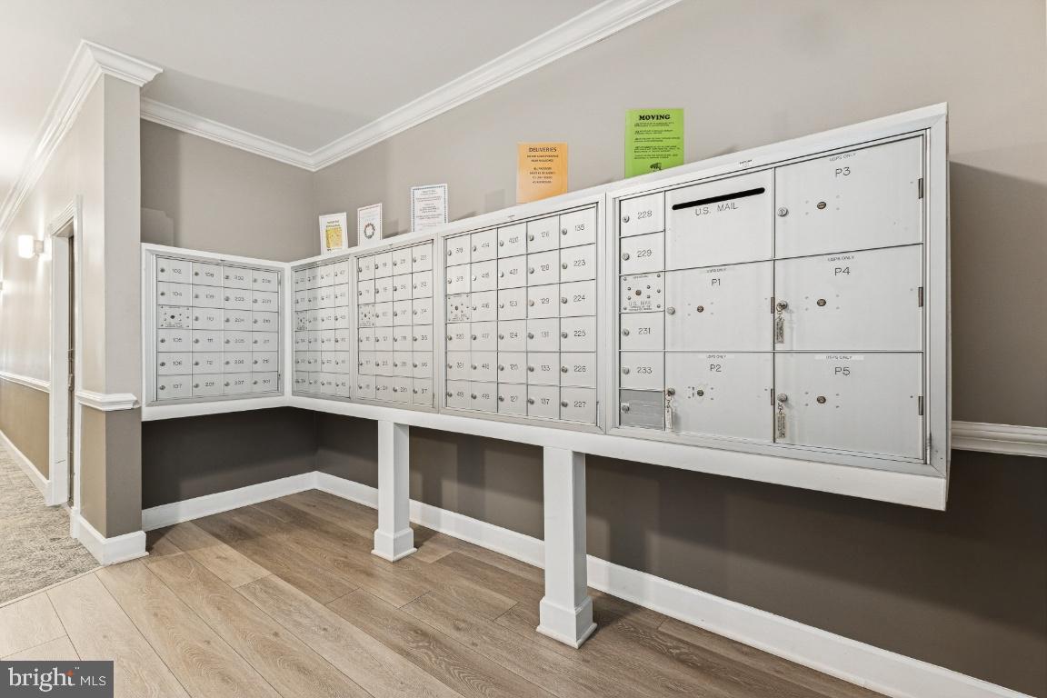 3810 LIGHTFOOT STREET 404