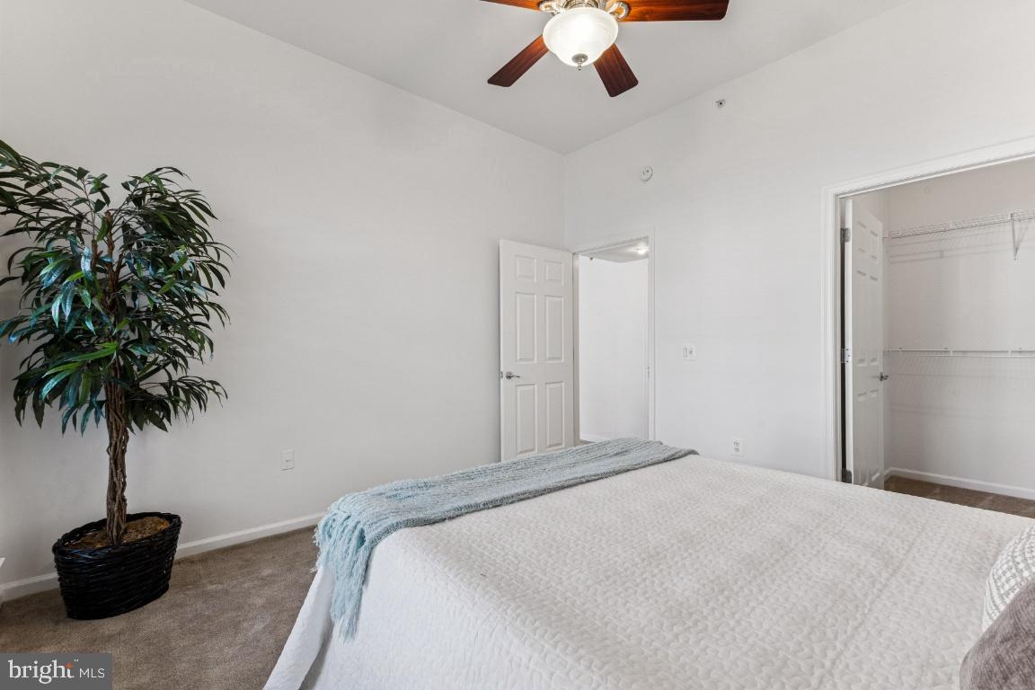 3810 LIGHTFOOT STREET 404