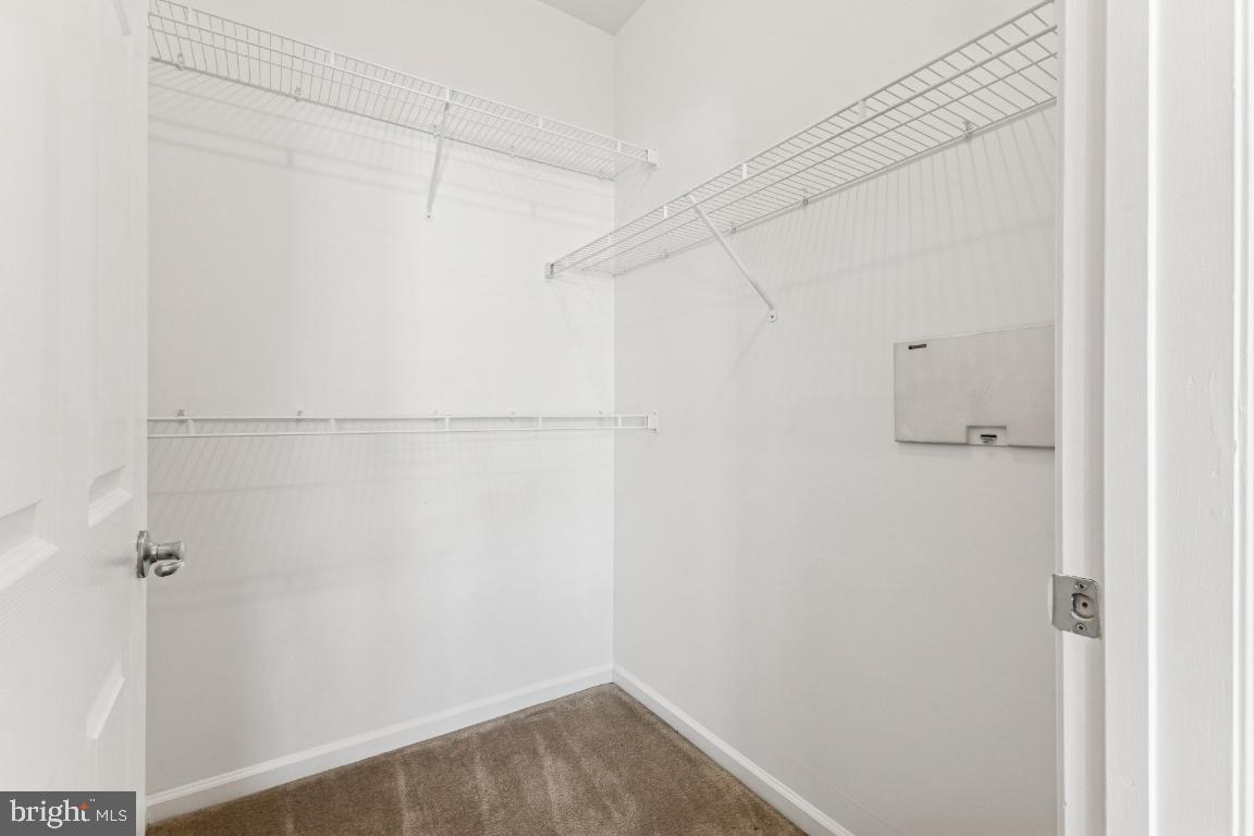 3810 LIGHTFOOT STREET 404