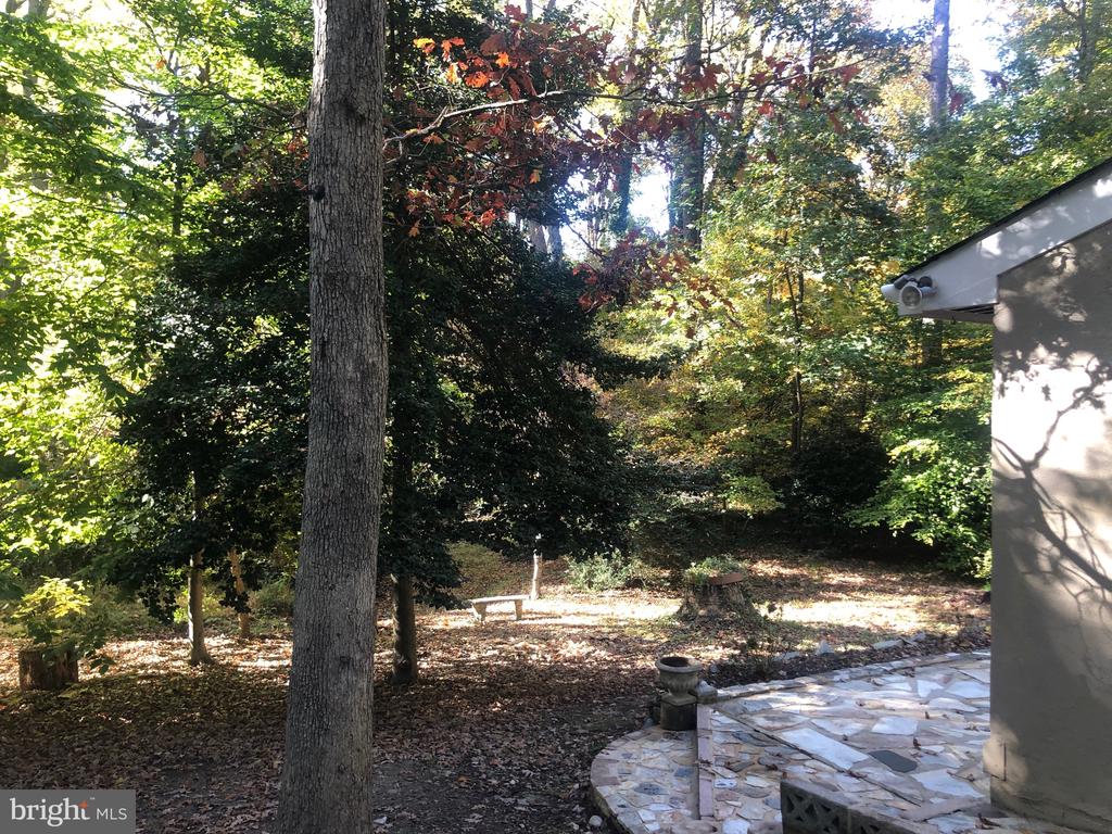 6499 FRENCHMENS DRIVE