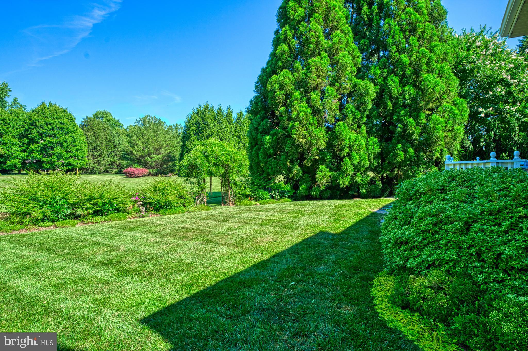 10812 CRIPPEN VALE COURT