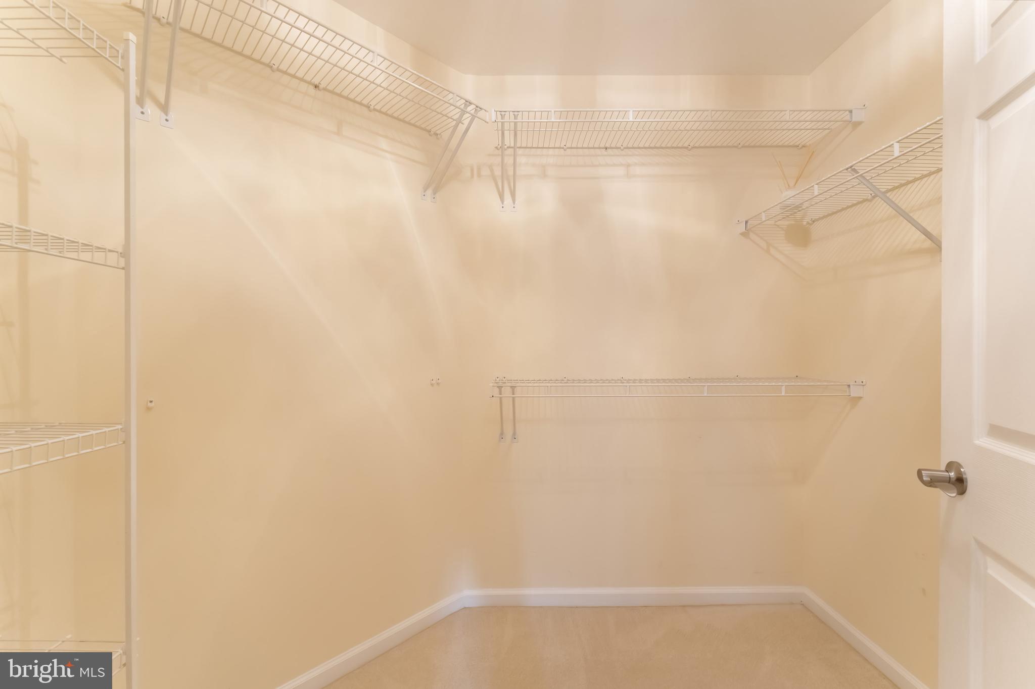 10812 CRIPPEN VALE COURT