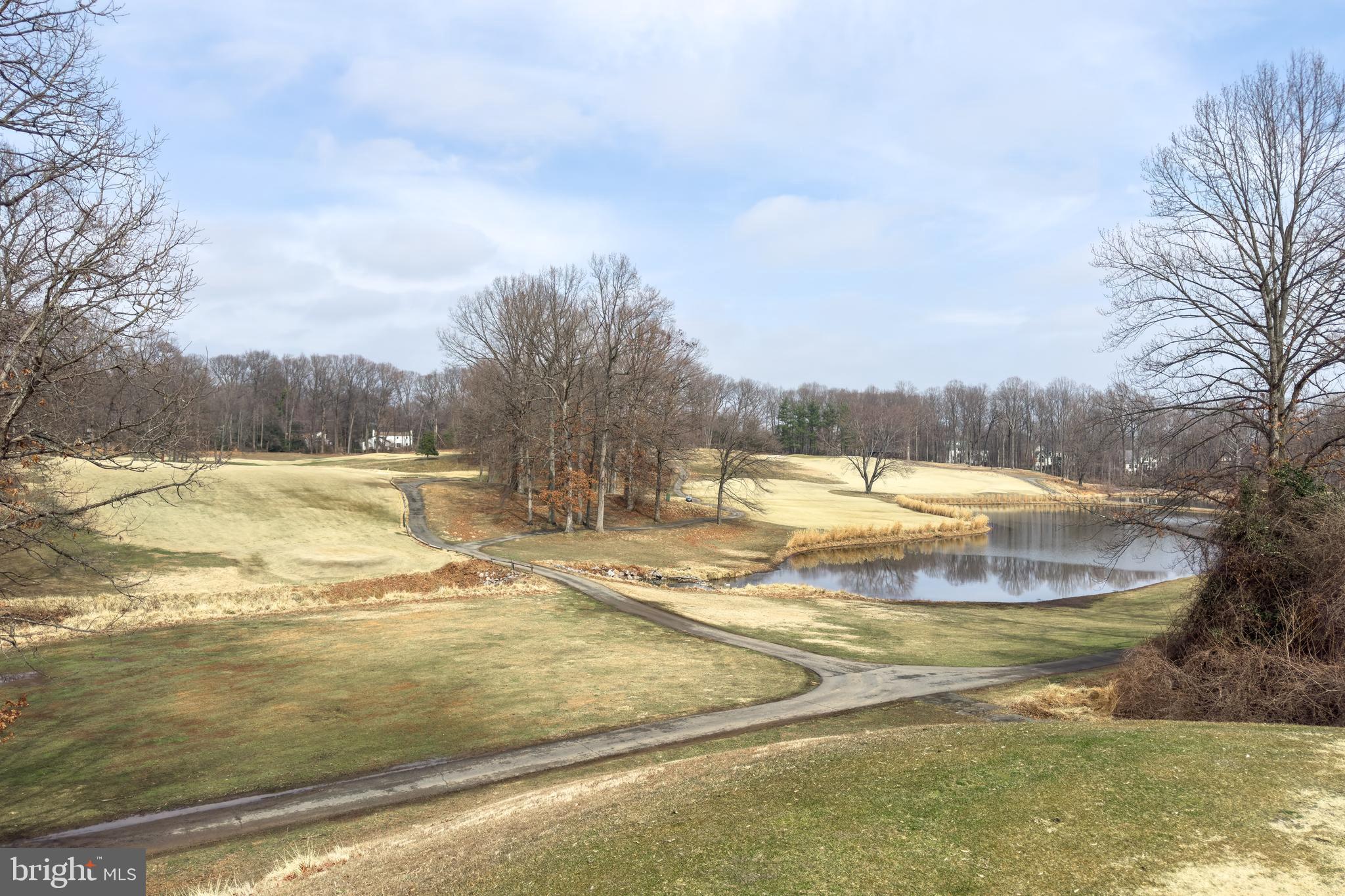 3902 GOLF TEE COURT 101