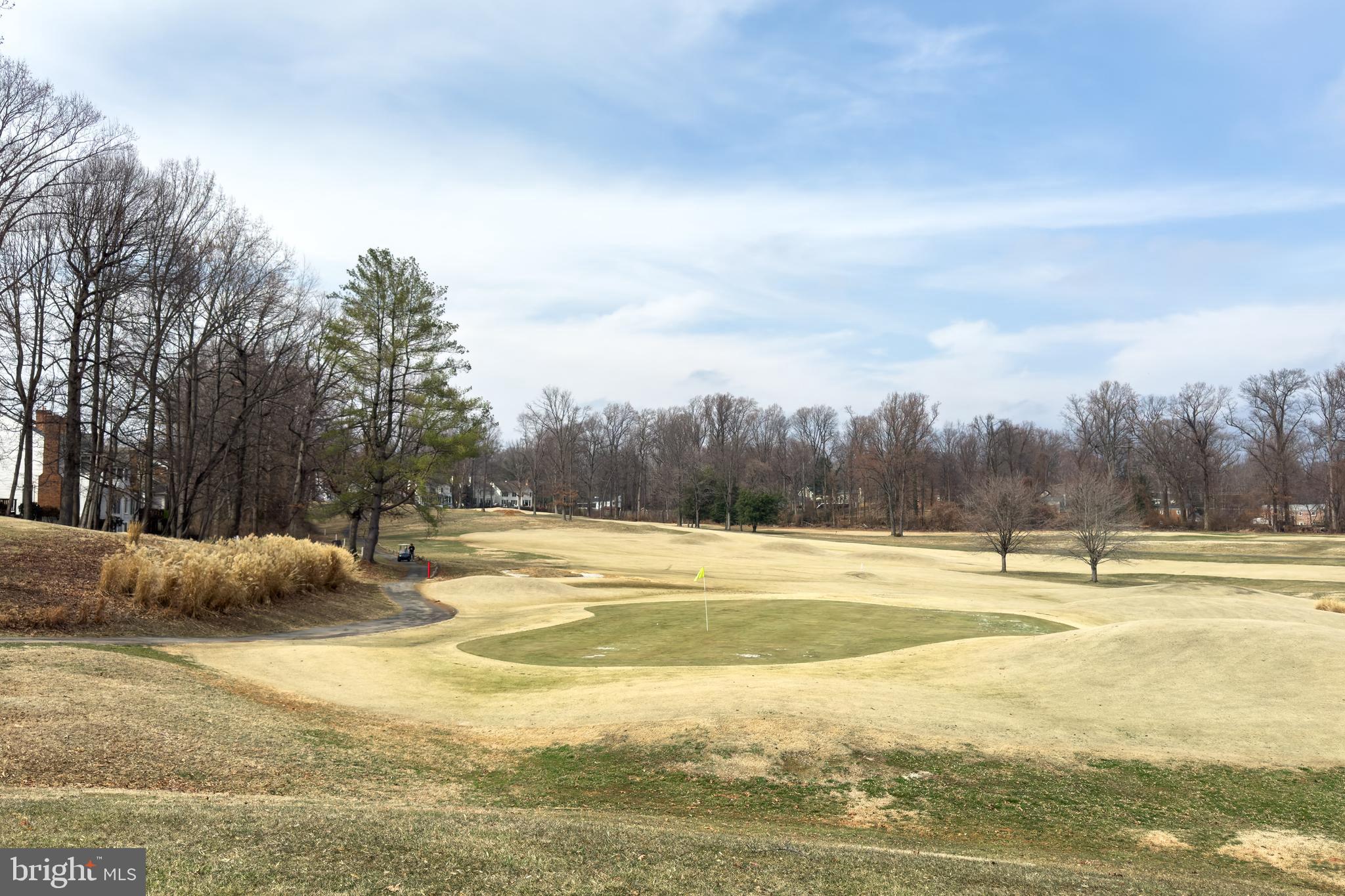 3902 GOLF TEE COURT 101