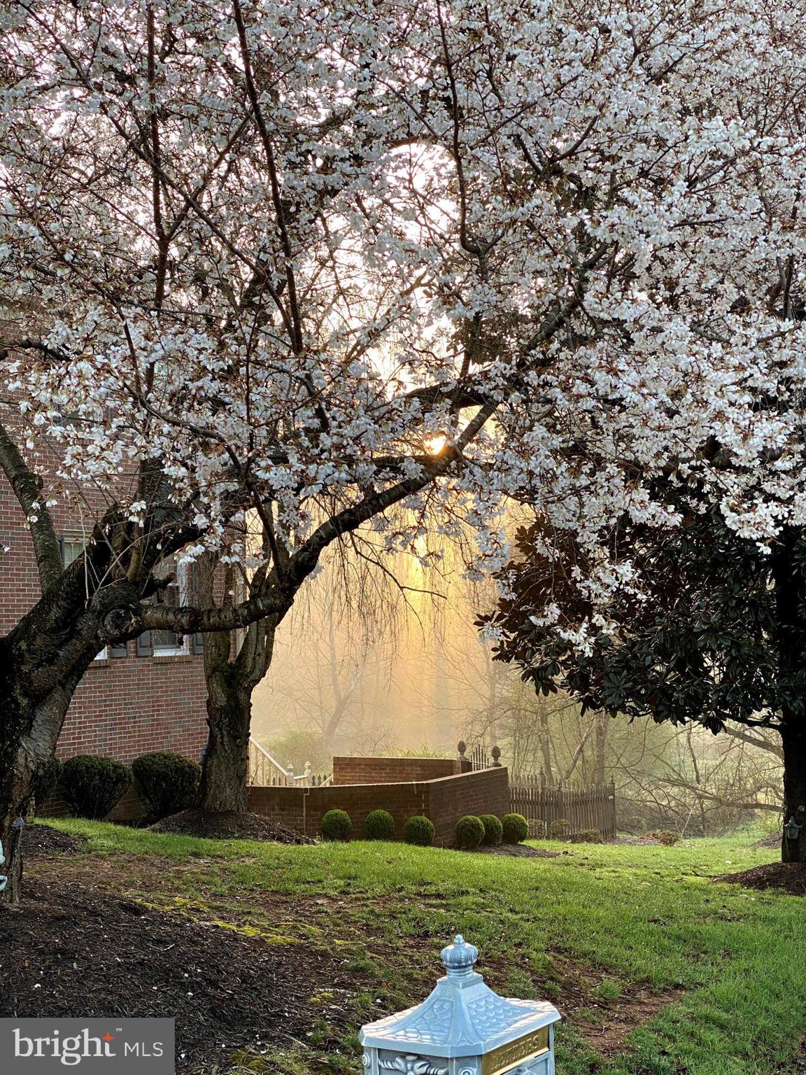 1435 ROSEWOOD HILL DRIVE