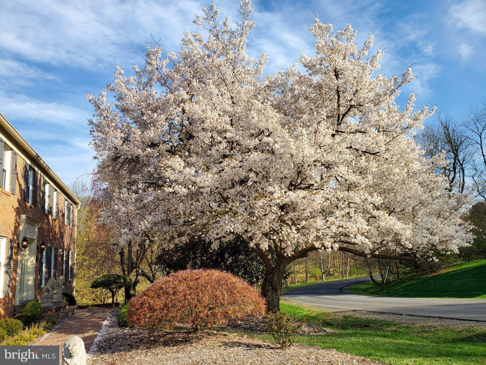 1435 ROSEWOOD HILL DRIVE