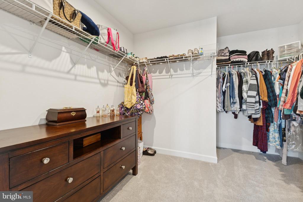 8102 ZOE PLACE