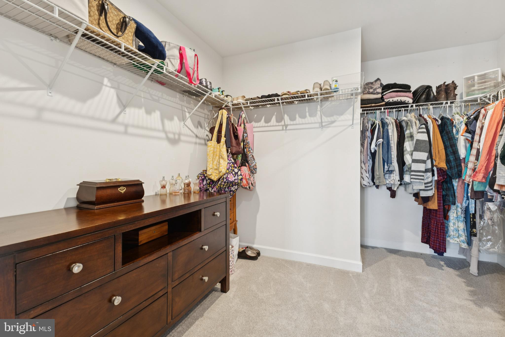 8102 ZOE PLACE