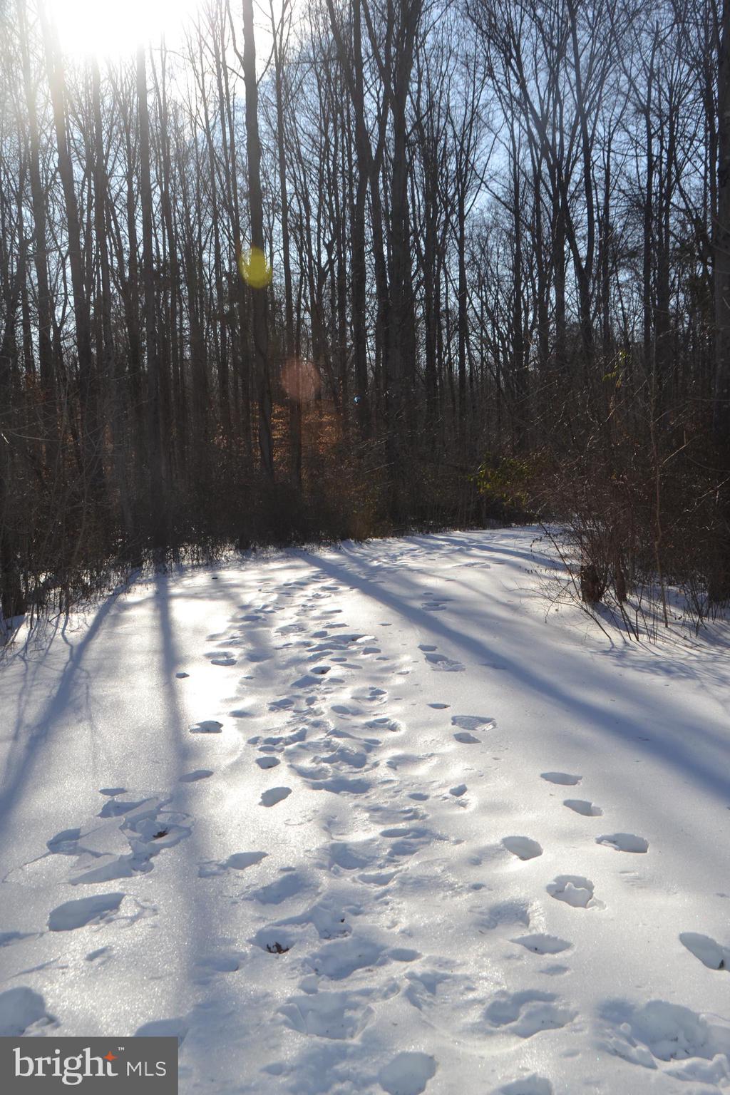 6015 TICONDEROGA COURT