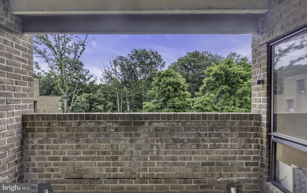 11232 CHESTNUT GROVE SQUARE 335