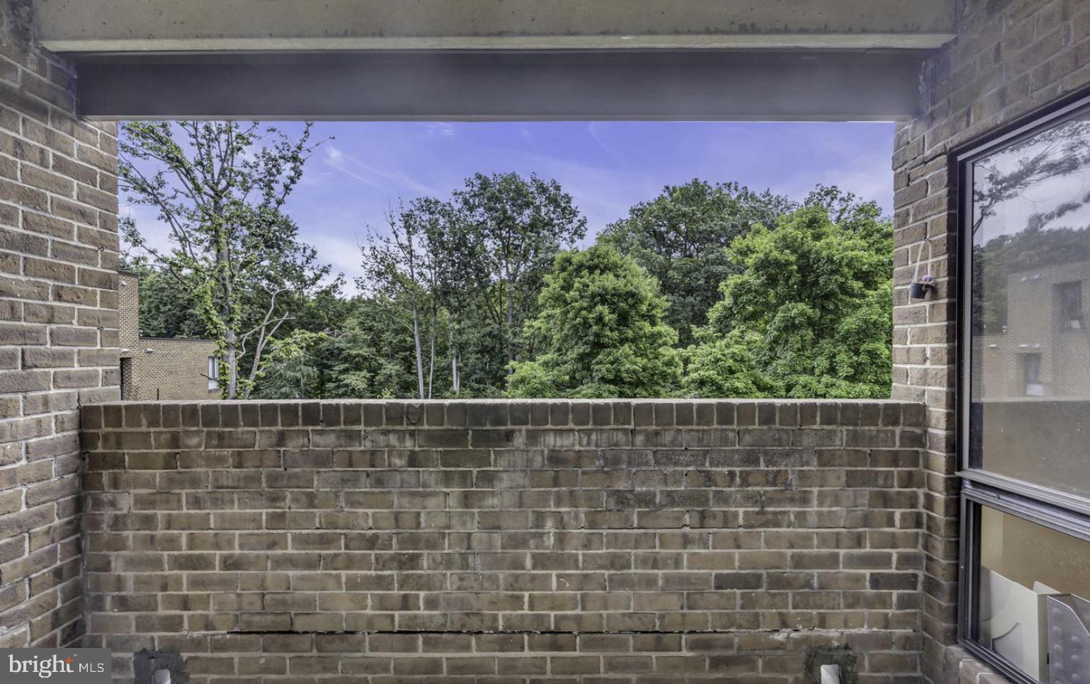 11232 CHESTNUT GROVE SQUARE 335