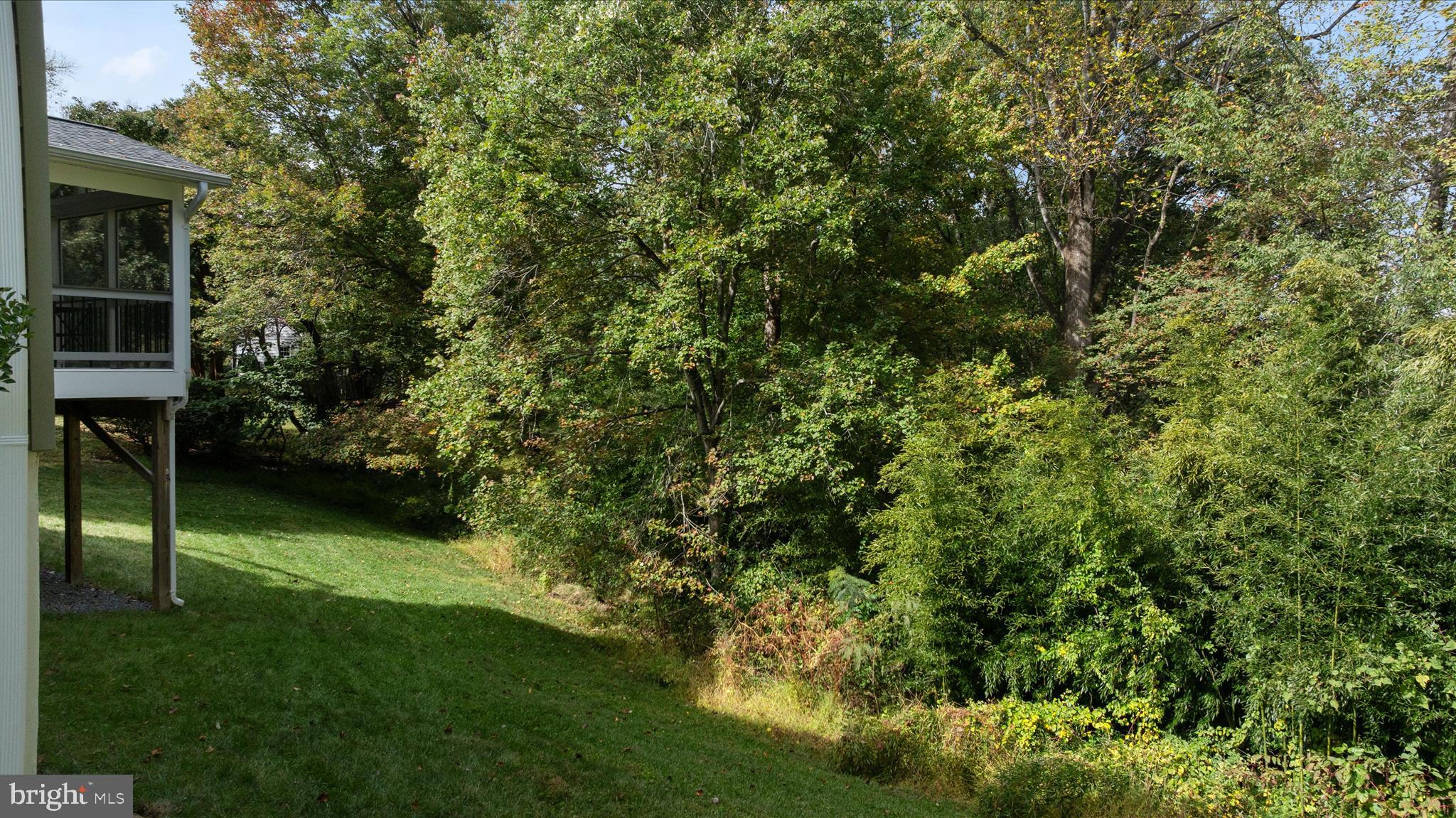 9910 CHASE HILL COURT