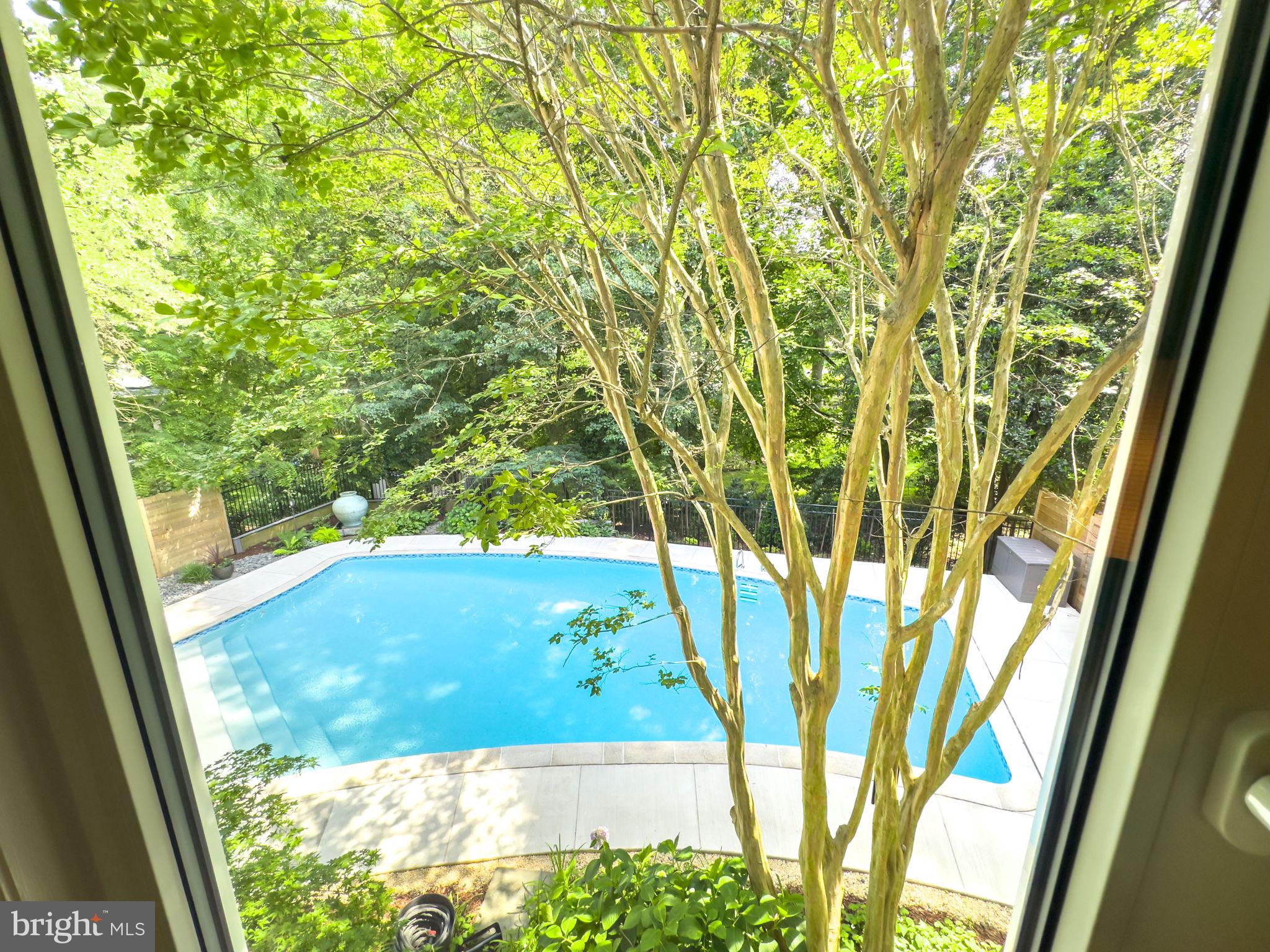 11817 BLUE SPRUCE ROAD