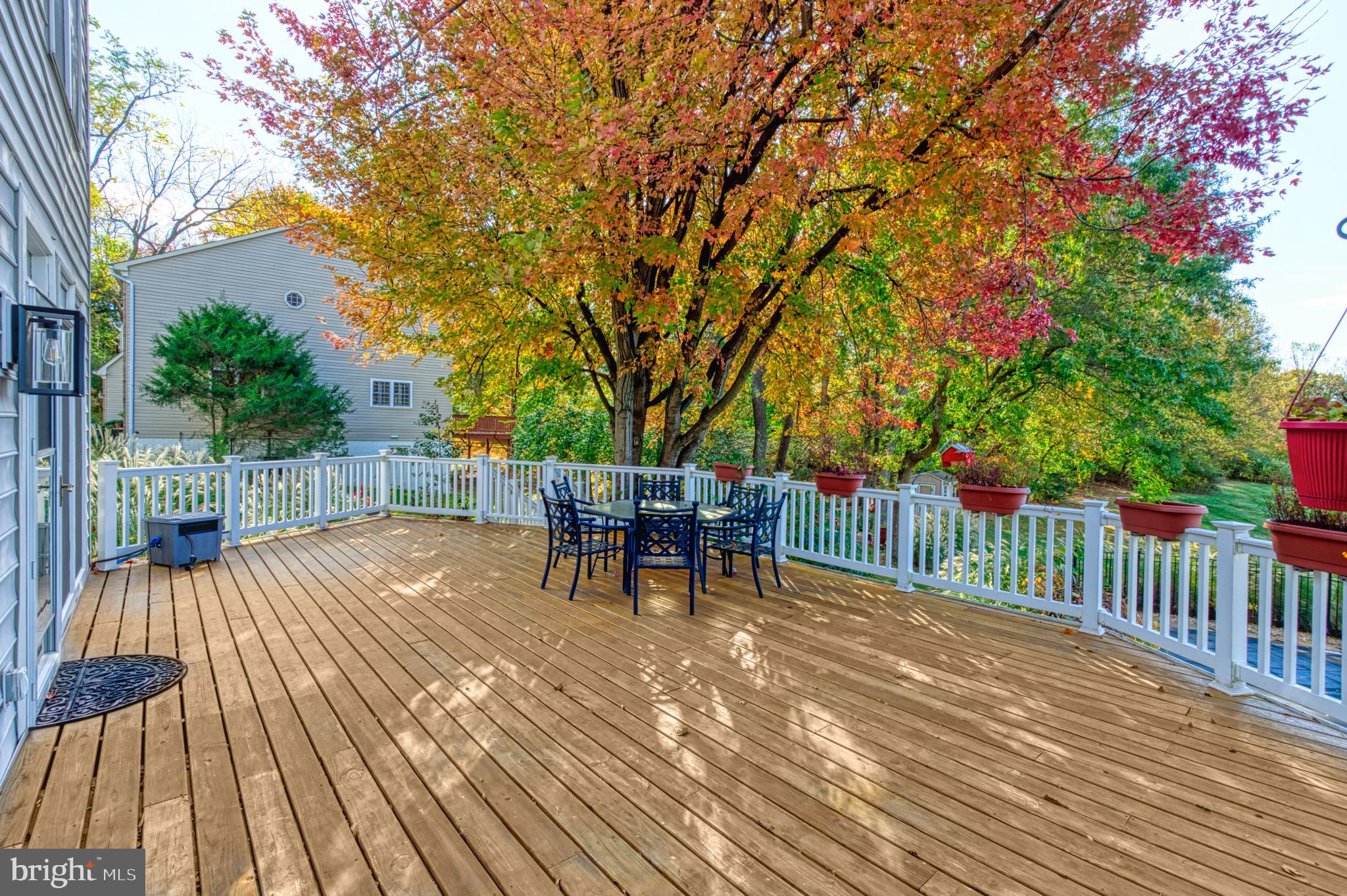 10409 DUNN MEADOW ROAD