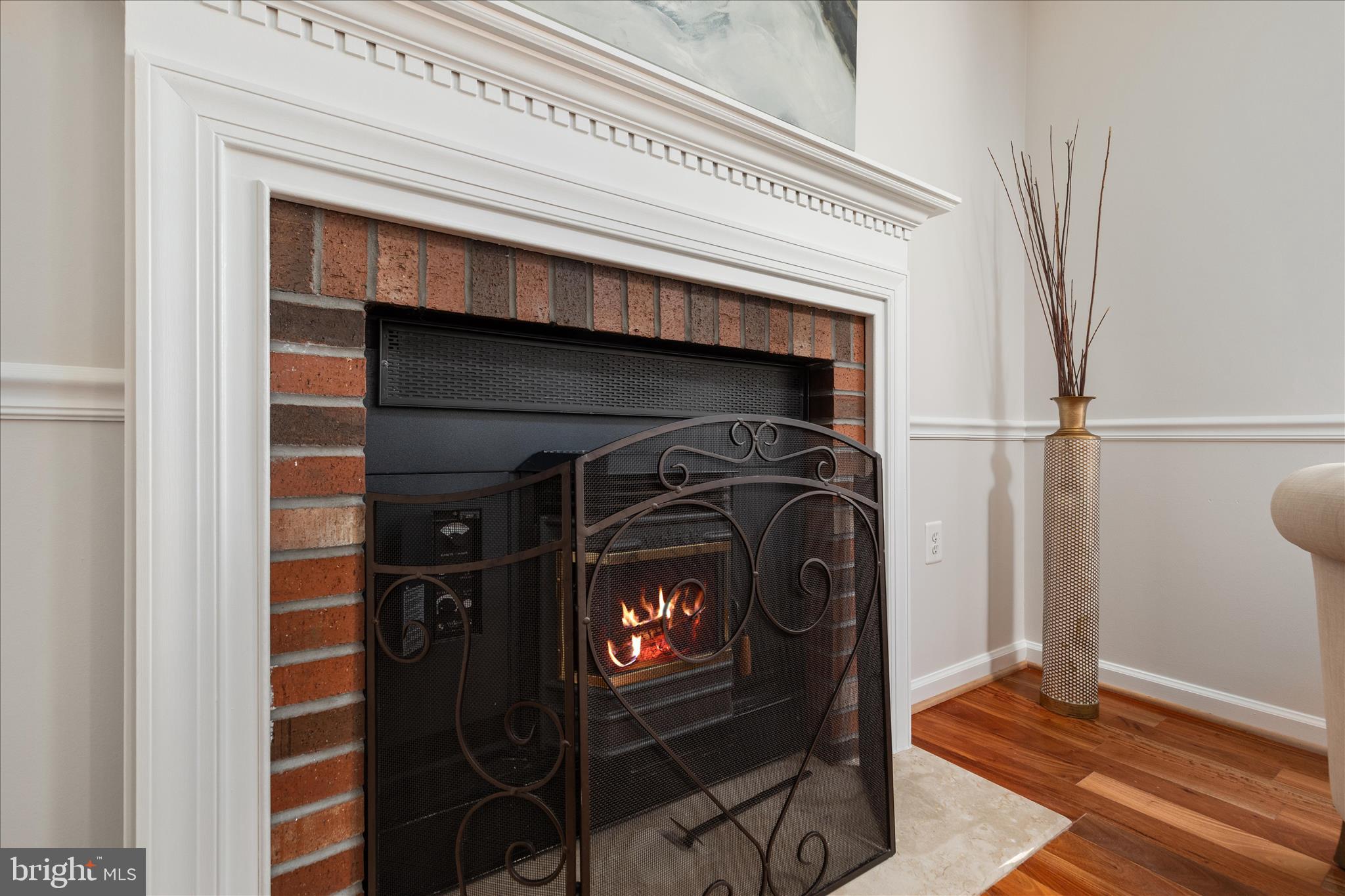 13132 THORNAPPLE PLACE