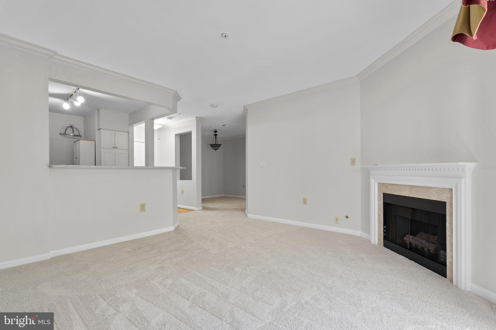 12915 ALTON SQUARE 213