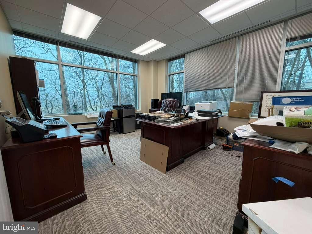 1984 ISAAC NEWTON SQUARE W 209