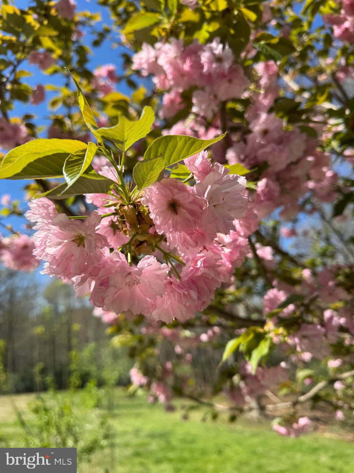 12820 DUNVEGAN DRIVE