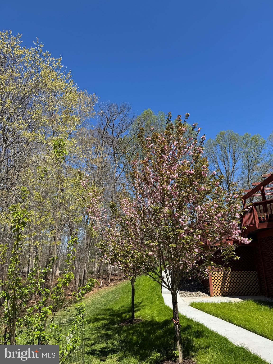 12820 DUNVEGAN DRIVE