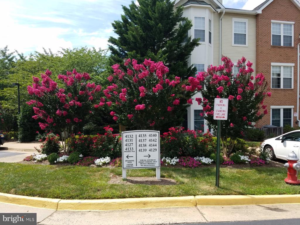 4135 FOUNTAINSIDE LANE Unit: 101