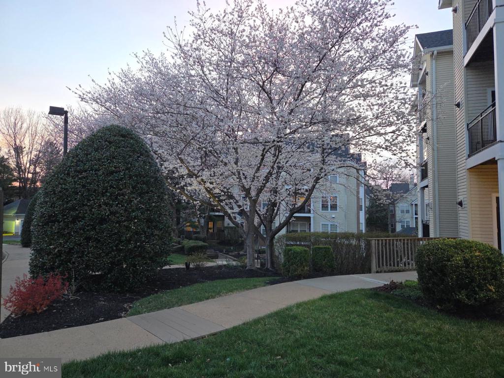 4135 FOUNTAINSIDE LANE Unit: 101
