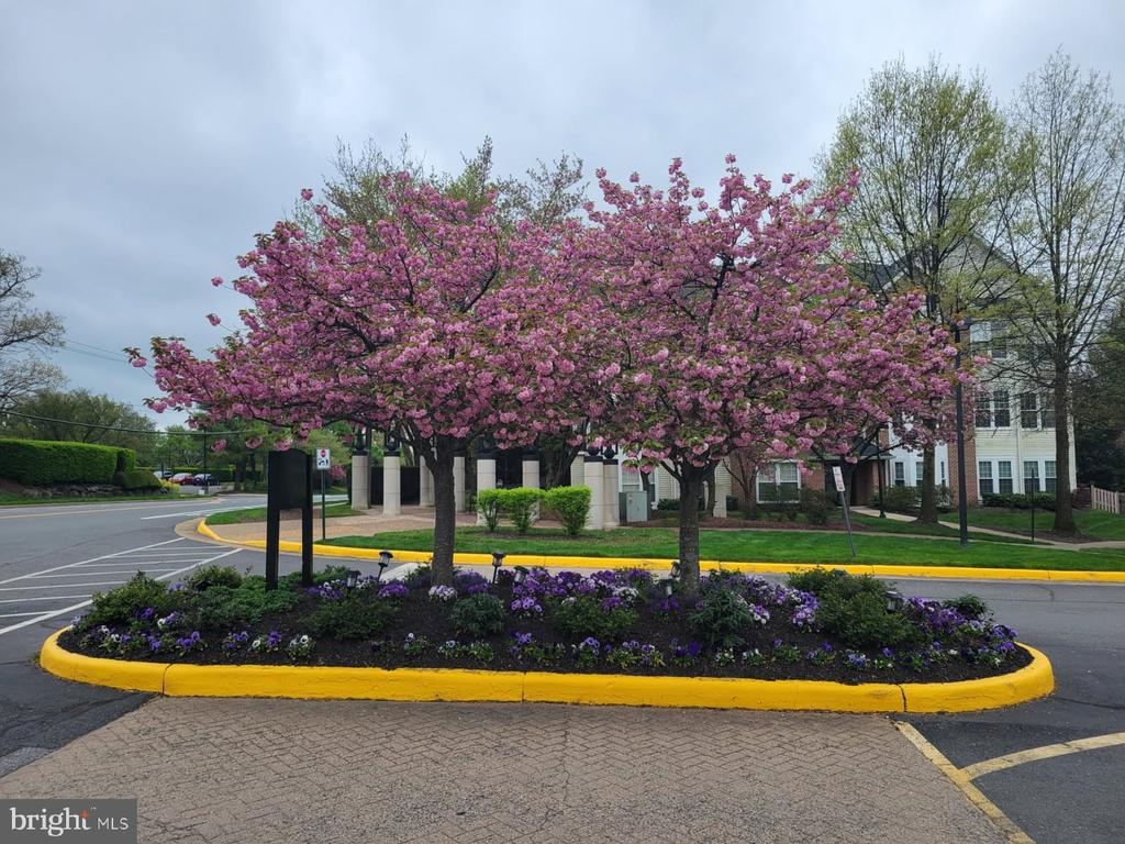 4135 FOUNTAINSIDE LANE Unit: 101