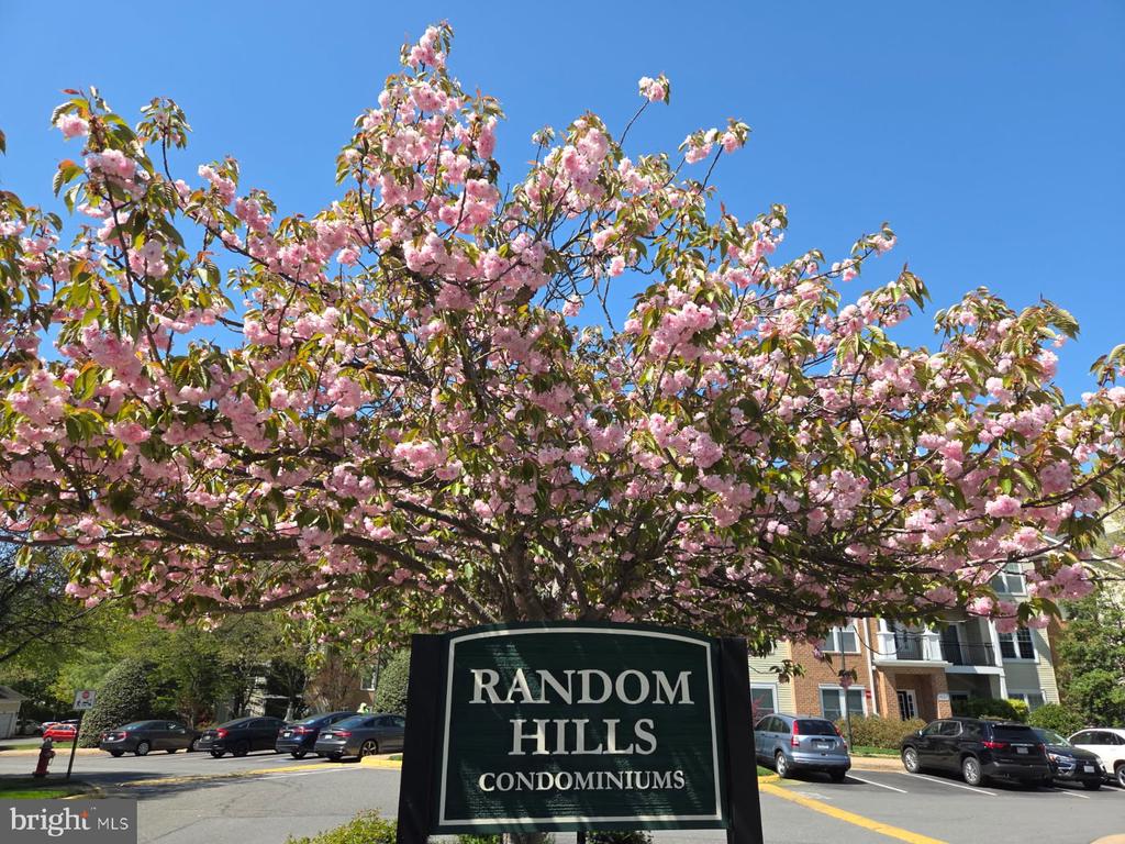 4135 FOUNTAINSIDE LANE Unit: 101