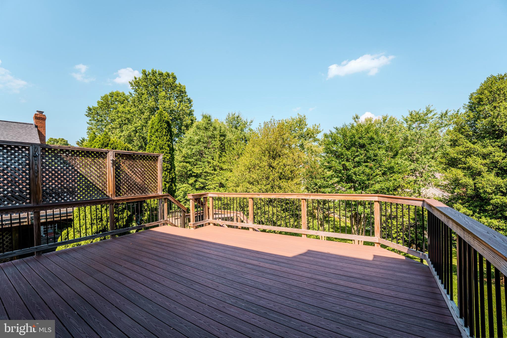 1355 TUNWELL STABLE COURT