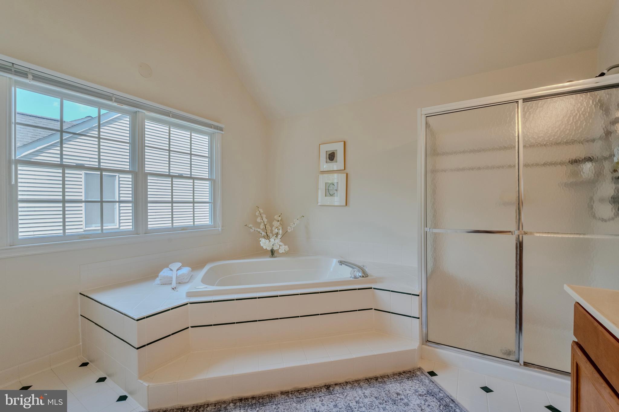 1355 TUNWELL STABLE COURT