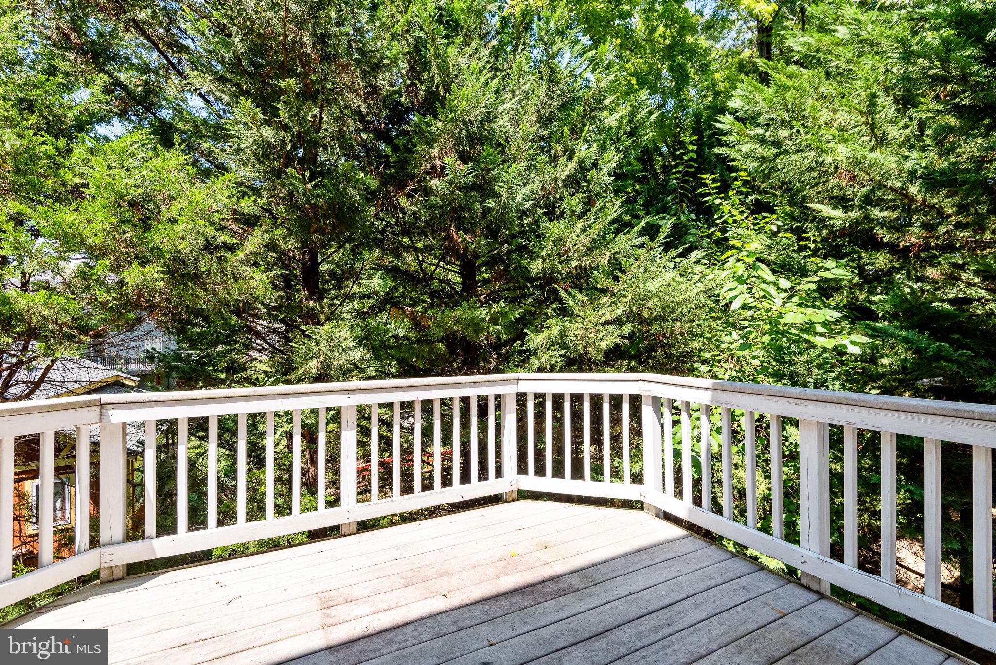 2202 SARAH WOODS COURT