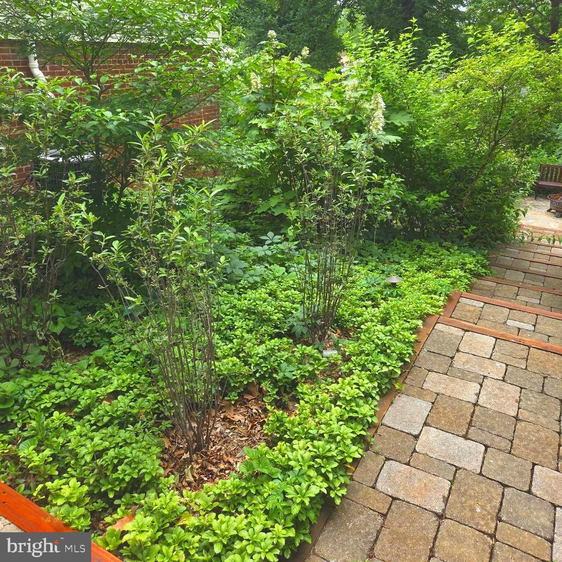 7411 ELLWOOD PLACE