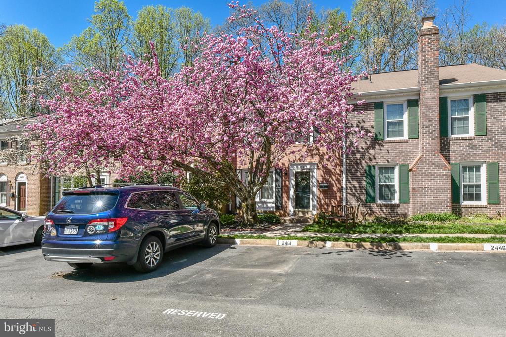 2407 ALSOP COURT