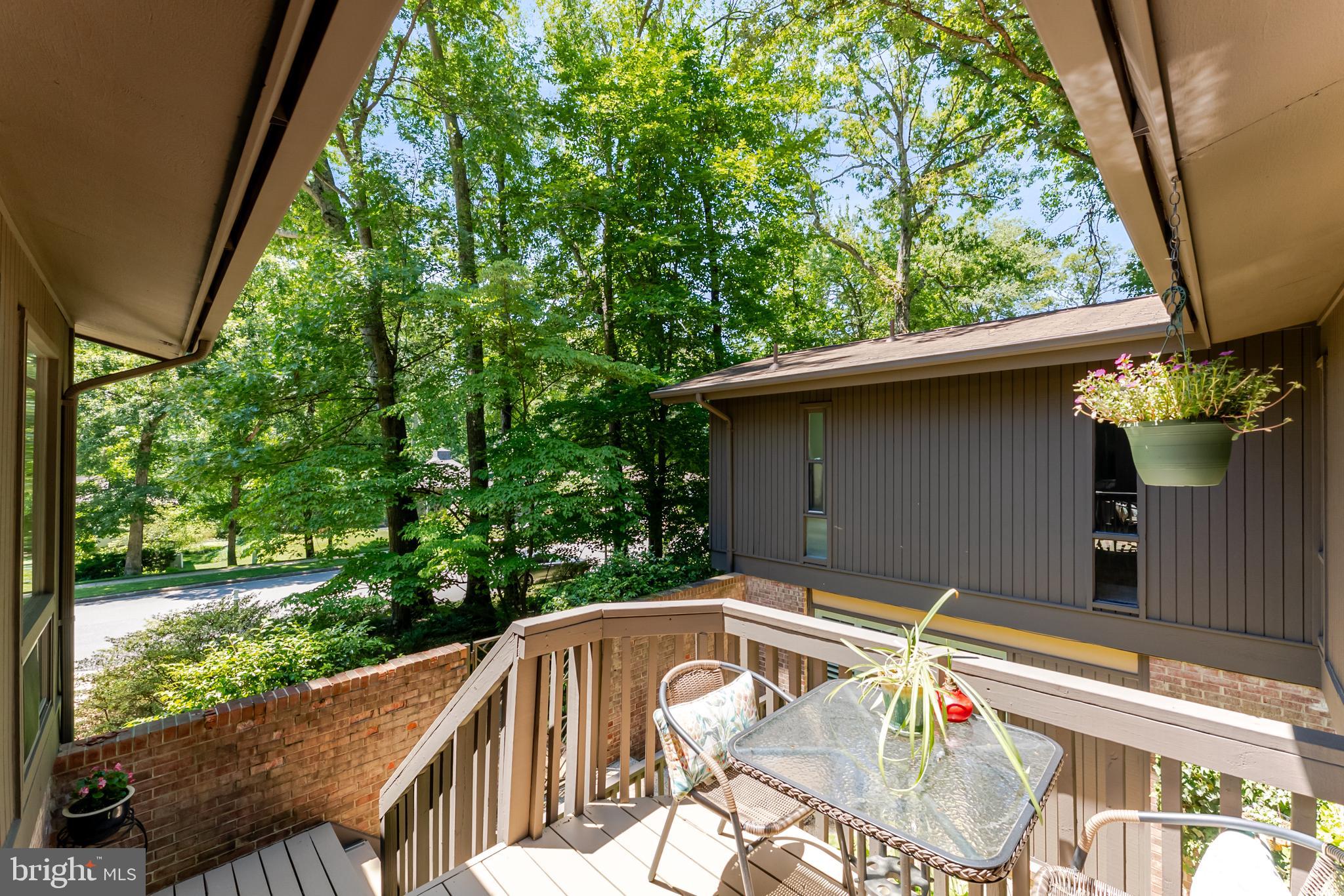 4221 ELIZABETH LANE