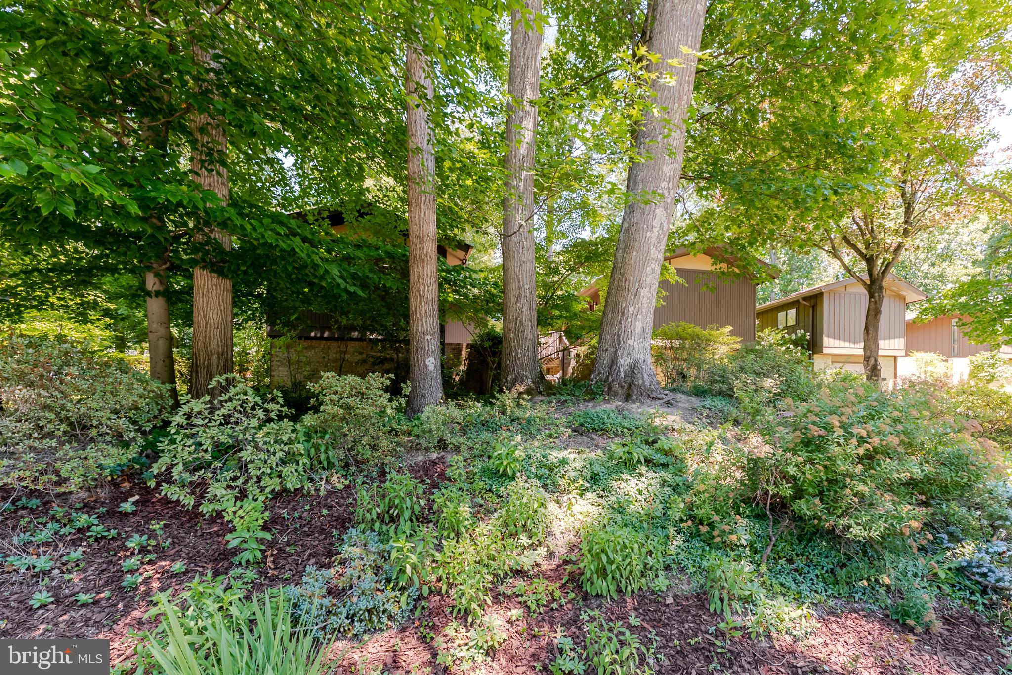 4221 ELIZABETH LANE