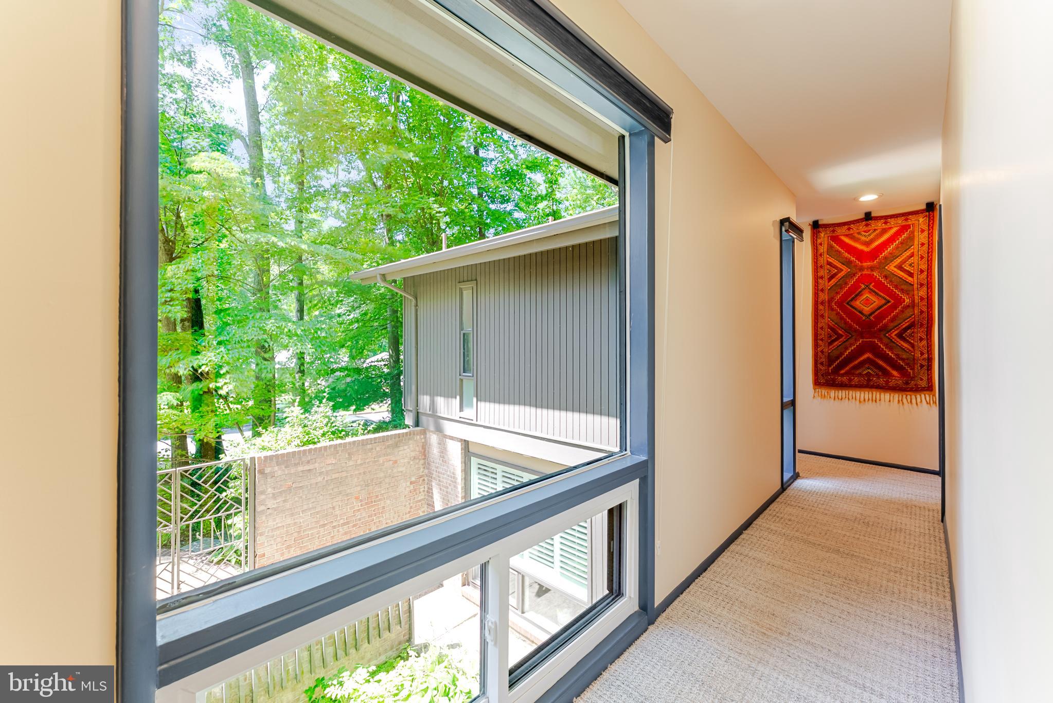 4221 ELIZABETH LANE