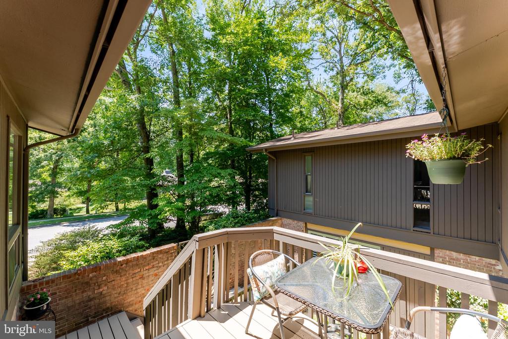 4221 ELIZABETH LANE