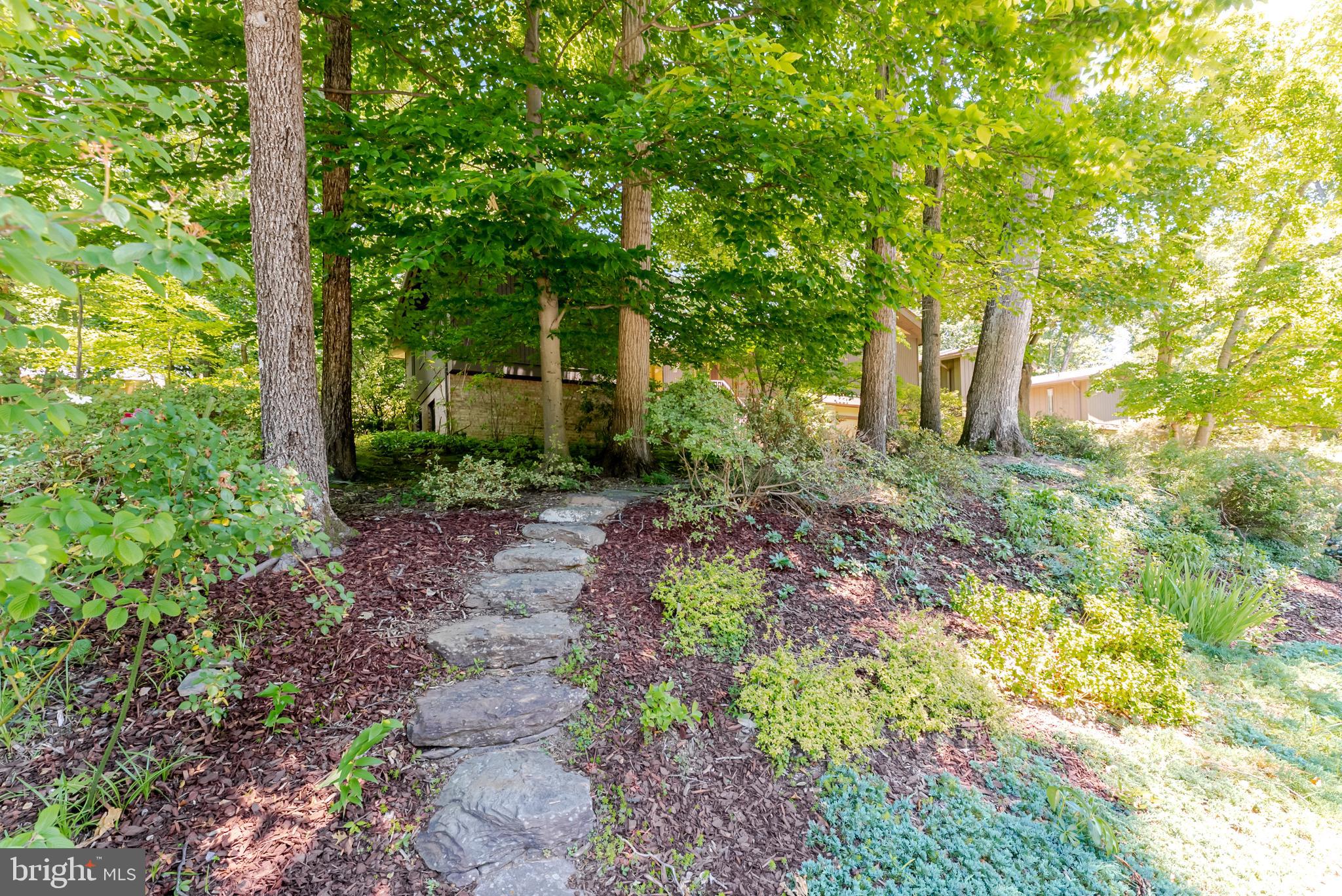 4221 ELIZABETH LANE