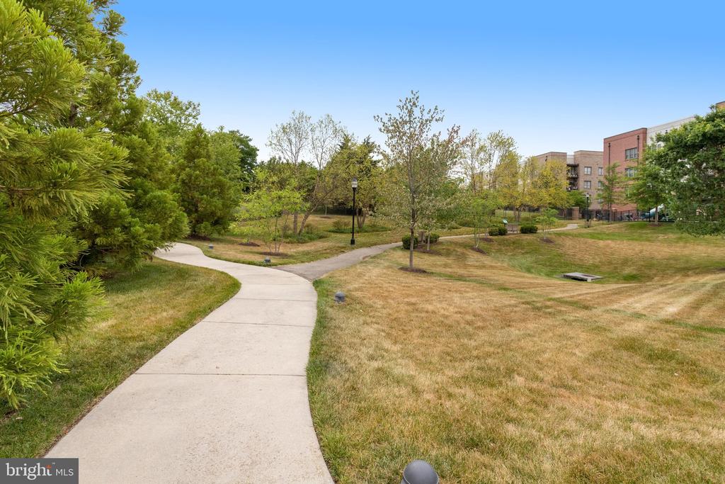 8886 CALLA LILY COURT
